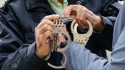 سارقان ۴۷ فقره سرقت در تبریز دستگیر شدند