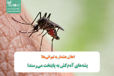 پشه‌های آدم‌کش به پایتخت می‌رسند؛ اعلان هشدار به تهرانی‌ها!