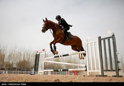 سومین حضور داور سوارکاری ایران در بازی‌های المپیک - تسنیم