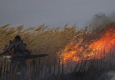مهار آتش سوزی در تالاب هورالعظیم - تسنیم