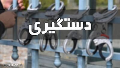 دستگیری سارقان ۴۷ فقره سرقت در تبریز