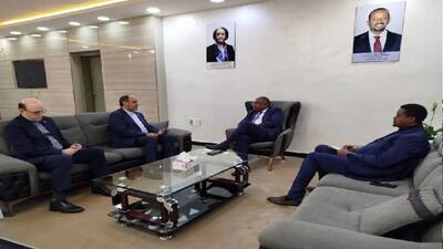 سفیر ایران در اتیوپی با وزیر کشاورزی این کشور دیدار کرد