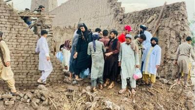 ازسرگیری پروژه های محیط زیستی در افغانستان