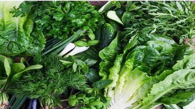 پیش بینی تولید بیش از ۸ هزار تن سبزیجات سالم در قزوین