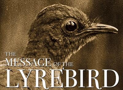 پرنده لیریبرد: سلطان آوازهای تقلیدی در جنگل‌های استرالیا