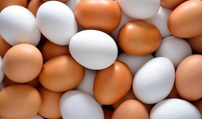 تخم مرغ سفید بهتر است یا تخم مرغ قهوه‌ای؟!