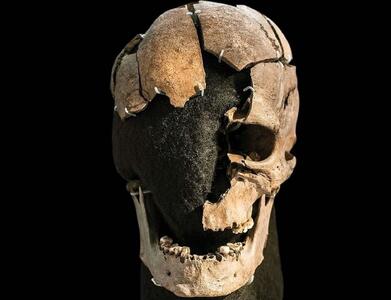 یک مرد 5 هزارسال قبل با چماق کشته شد؛ حالا جمجمۀ مقتول و سلاح قتل کشف شده‌اند(+عکس)