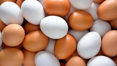 اتفاق باورنکردنی در بازار تخم مرغ ایران