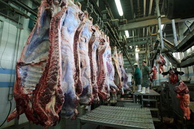 آخرین قیمت گوشت و مرغ در بازار | گوشت گوساله کیلویی چند؟