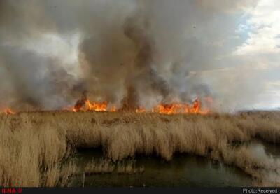 خسارت آتش‌سوزی ها به ۱۱۷۰ هکتار از اراضی زیر پوشش سازمان محیط زیست خوزستان