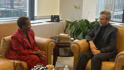 دیدار باقری با سرپرست معاون امور بشردوستانه سازمان ملل در نیویورک
