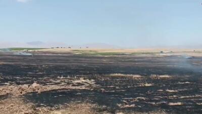 فیلم | مهار آتش‌سوزی در مزارع گندم خدابنده