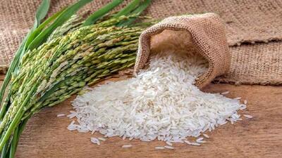 قیمت پایه برنج ۹۰ هزار تومان پیش بینی شده