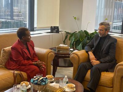 دیدار باقری با سرپرست معاونت امور بشردوستان سازمان ملل