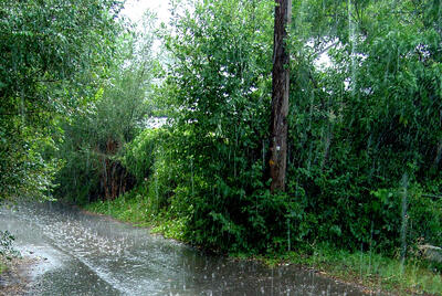 پیش بینی رگبار باران در  شمال کشور+ ادامه گرما در استان‌های کشور+فیلم