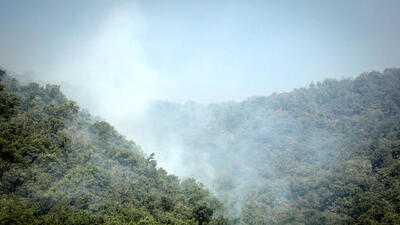 افتادن آتش به جان مراتع و عرصه های جنگلی ایران / عامل انسانی در آتش سوزی جنگل ها 98 درصد تاثیر دارد