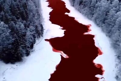 (ویدیو) عجیبترین پدیده های طبیعی در سیاره زمین که با دیدنش شگفت زده خواهید شد!/ از رود خون در روسیه تا جهان گمشده در دل جنگل