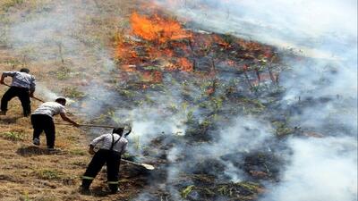 ۶۸ فقره آتش سوزی در عرصه های طبیعی ایلام ثبت شده است