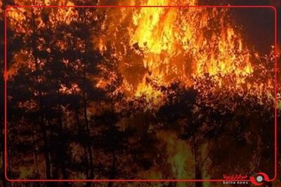 آتش سوزی گسترده در جنگل های ازمیر ترکیه