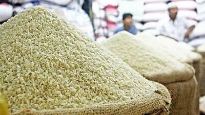 پیش بینی قیمت برنج ایرانی و هندی در ماه اول دولت پزشکیان