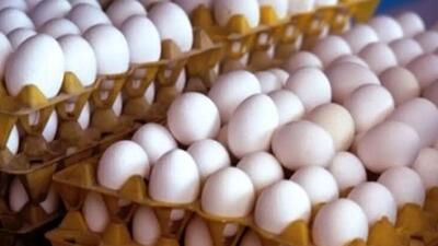 تخم‌مرغ گران تر می شود؟