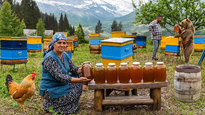 (ویدئو) فرآیند جمع آوری عسل و پخت کیک با آن به روش بانوی آذربایجانی