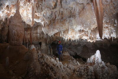غارهای گردشگری درآمد ندارند | نشانه‌های زندگی انسان های اولیه در غارهای ایران | ۱۰ غار گردشگری از بودجه‌های دستگاه‌های دیگر تغذیه می‌کنند