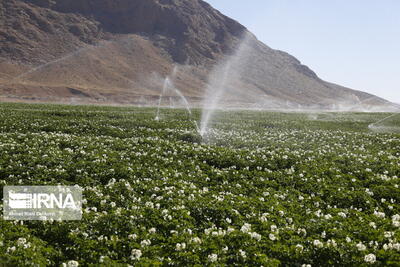 اختصاص آب یارانه‌ای به کشاورزی غیرراهبردی موجب هدررفتن آن می‌شود