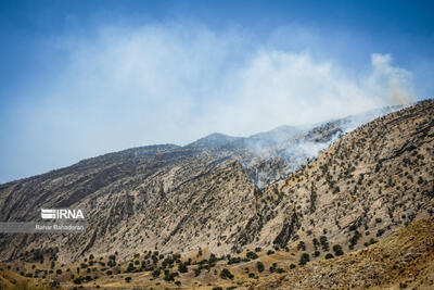 تلاش برای مهار آتش سوزی ارتفاعات قلارنگ ایلام ادامه دارد