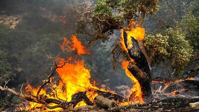 آتش‌سوزی در جنگل‌های کوهمره / نیروهای منابع طبیعی در حال پایش هستند