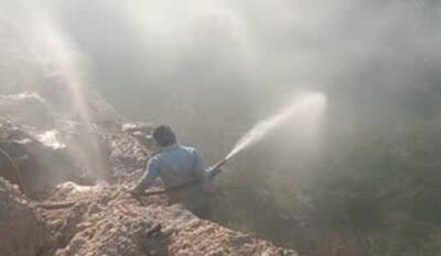 مهار آتش سوزی در مراتع بین روستاهای زیرراه و برمک سعد آباد