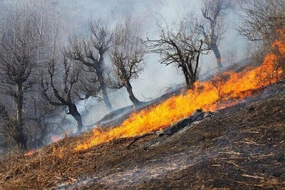 آتش‌سوزی در ارتفاعات «قلارنگ» ایلام شدت گرفت