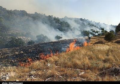 1.5هکتار از مراتع روستای مزده نطنز در آتش سوخت - تسنیم