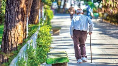 فعال‌سازی سالمندان؛ کلید ارتقای کیفیت زندگی و توسعه اجتماعی