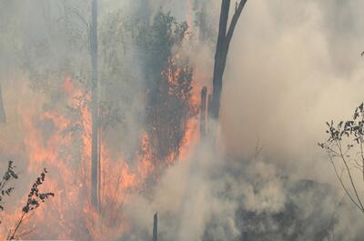 آتش جنگل‌های خرم‌آباد خاموش شد
