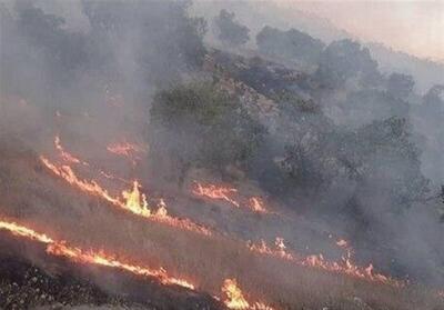 اداره منابع طبیعی لرستان: دلیل آتش‌سوزی ‌جنگل‌های زاگرس‌ عامل انسانی بود / آتش با اعزام دو بالگرد مهار شده‌