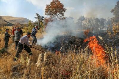ببینید/ تلاش گسترده برای مهار کردن آتش در کوهستان های ماژین دره شهر
