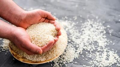 وضعیت مطلوب کشت برنج در کشور