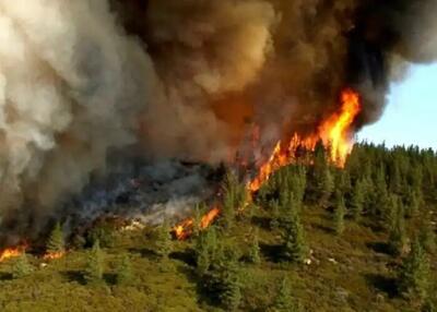 شناسایی عوامل آتش‌سوزی ‌جنگل‌های زاگرس‌ در لرستان
