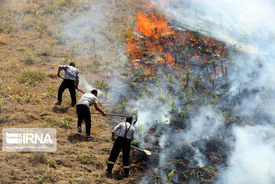 تلاش برای مهار آتش در منابع طبیعی جاده کرج - چالوس ادامه دارد