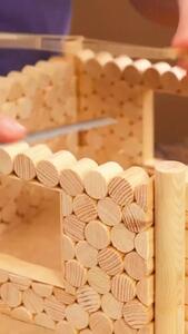 خلاقیت یک هنرمند در ساخت خانه با چوب بستنی و صمغ درخت برای سنجاب