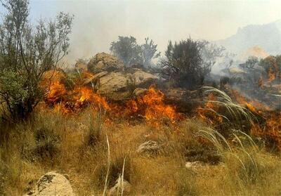 علت آتش‌سوزی جنگل‌های خرم‌آباد چه بود؟