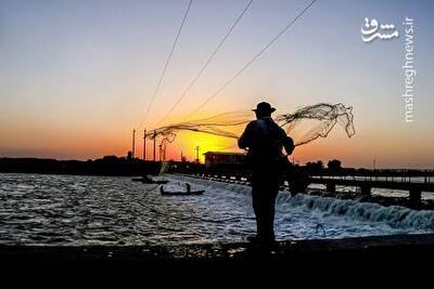 عکس/ صید ماهی روی پل صنگور آبادان