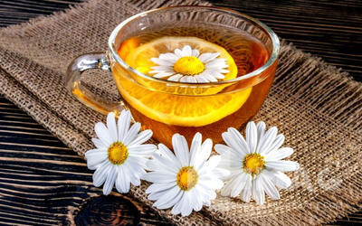 بررسی فواید و خواص چای بابونه + نحوه مصرف