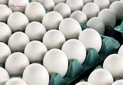 قیمت تخم مرغ در اولین روز هفته اعلام شد | قیمت روز تخم مرغ ۳۰ تیرماه ۱۴۰۳ در بازار چند؟