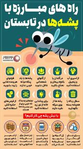 نوراینفو | راه های مبارزه با پشه ها در تابستان