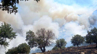 عوامل آتش سوزی ‌جنگل های زاگرس‌ در لرستان شناسایی شدند + جزئیات