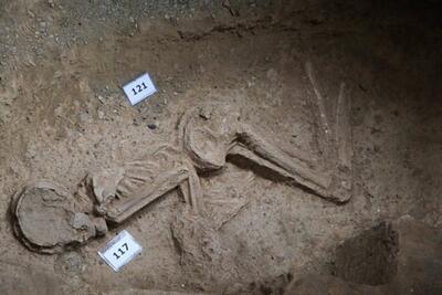 مطالبه جدی باستان‌شناس‌ها از وزارتخانه‌ها | وضعیت بغرنج از شناسایی اسکلت بانوی هفت هزار ساله تهران | رویداد24