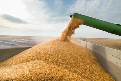 خرید ۲۷۰ هزار تن گندم از کشاورزان استان اردبیل