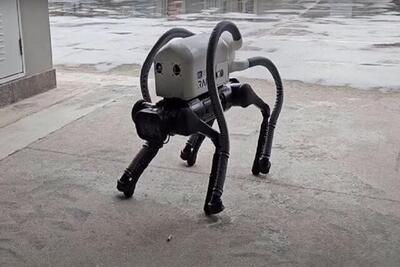 اختراع سگ رباتیکی که ته‌ سیگارها را از سواحل جمع‌ می‌کند